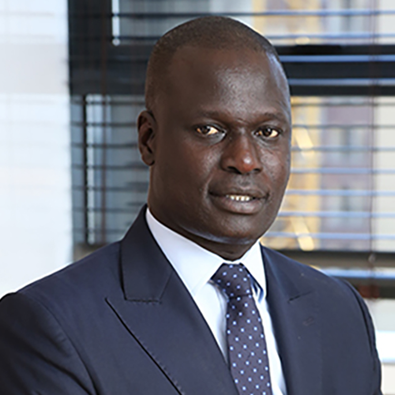 Amadou Gallo Fall: Africa Can Become the Global Hub of the Sports Industry Amadou Gallo Fall: Africa Can Become the Global Hub of the Sports Industry