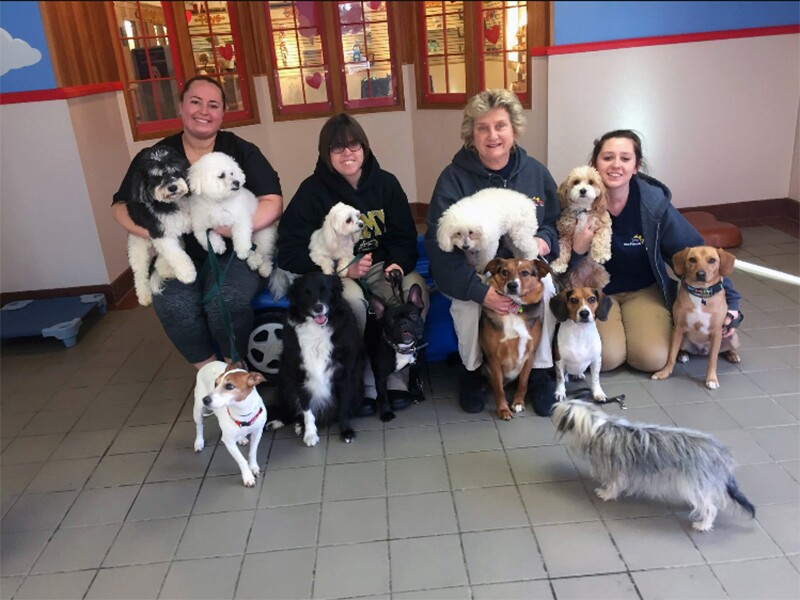 Katy kneeling down with her co-workers and 12 different dogs taking a group photo at Best Friends Pet Care.