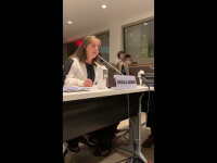Chaica Al Qassimi at the United Nations