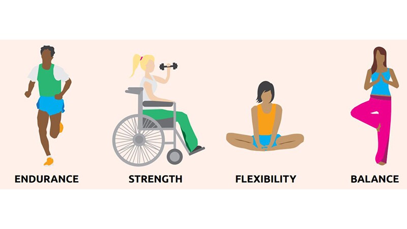 Stretching Exercises Strength Types Of Exercise Of Flexibility