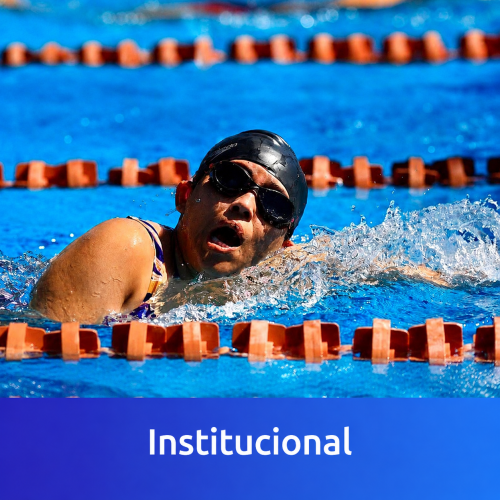 Institucional