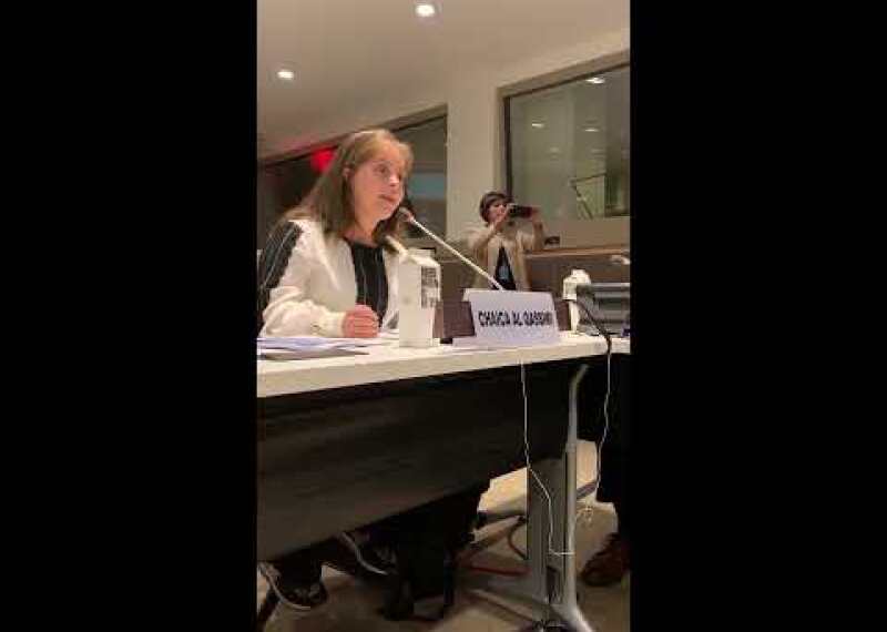 Chaica Al Qassimi at the United Nations