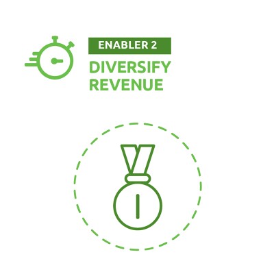 800x800 - E2 - Diversify Revenue.jpg