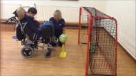 Motor Activities Training Programme: Ball Kick L1-L3