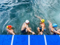 Six swimmers at the starting line of an open water swimming competition. 