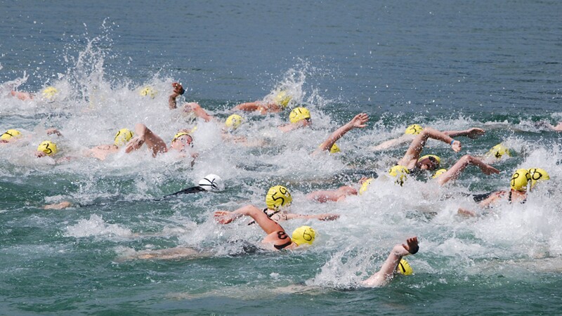 A group of swimmers in open water. All swimmers have on yellow swim caps with numbers.