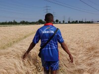 A man in a Namibia shirt walks out into a field of tall grass
