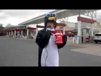 Wawa Wednesday | Daniel Morales