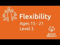 Level 3: 15 – 21: Flexibility
