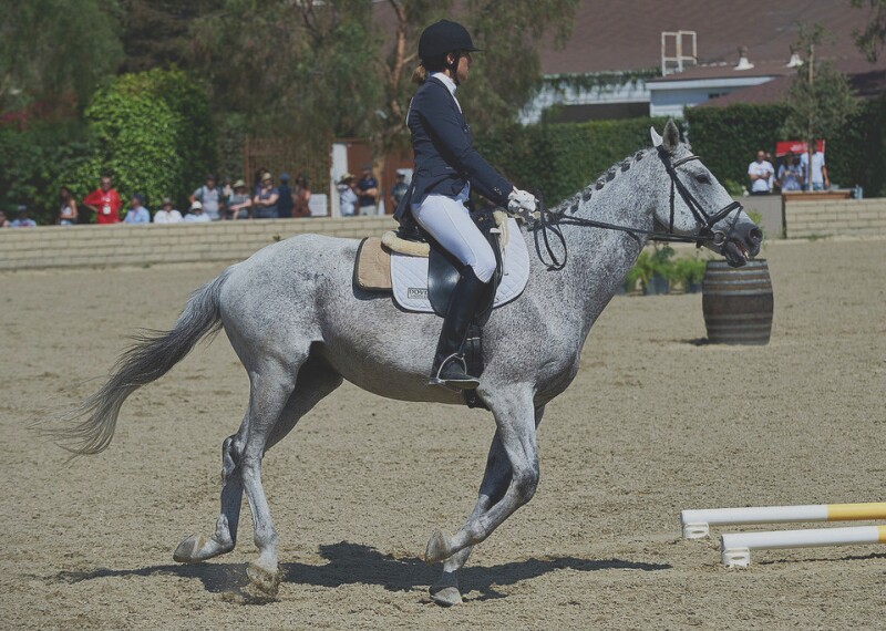 Athlete riding a horse in the performance ring.