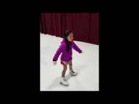 Judges Figure Skating Training Session 2